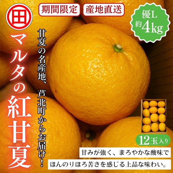 マルタの紅甘夏 優L 約4kg