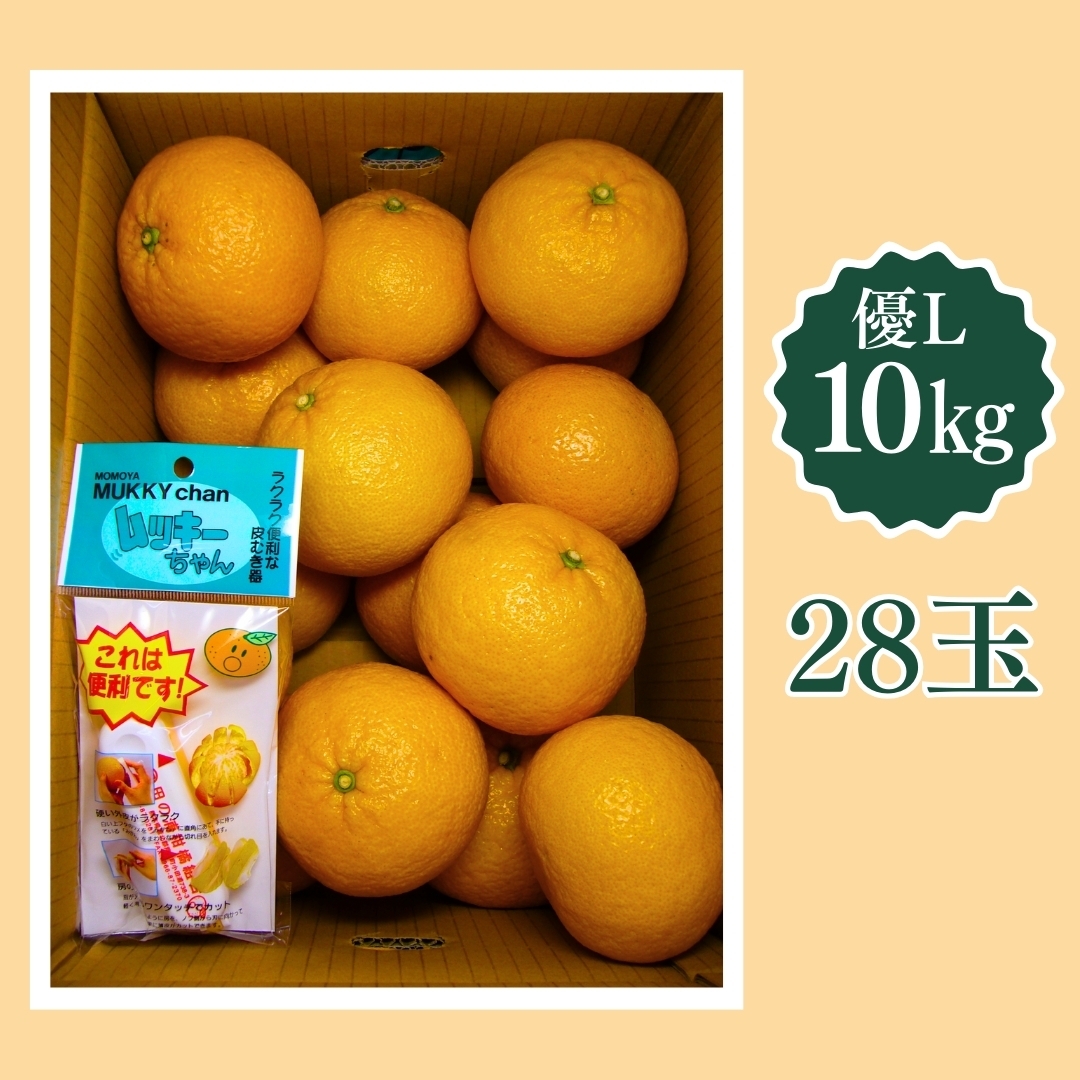 マルタの紅甘夏 優L 10kg 田の浦柑橘組合