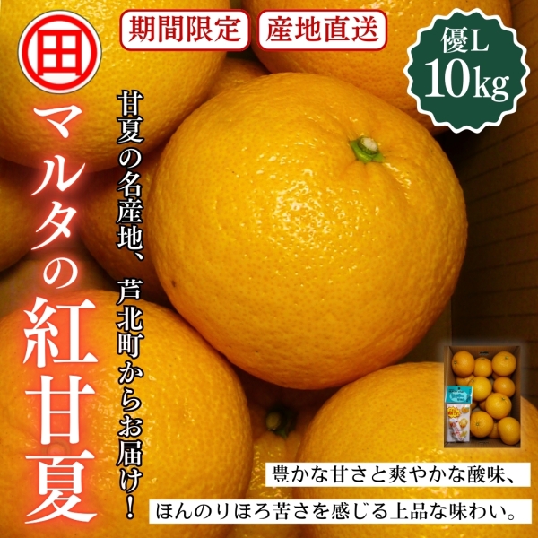 マルタの紅甘夏 優L 10kg