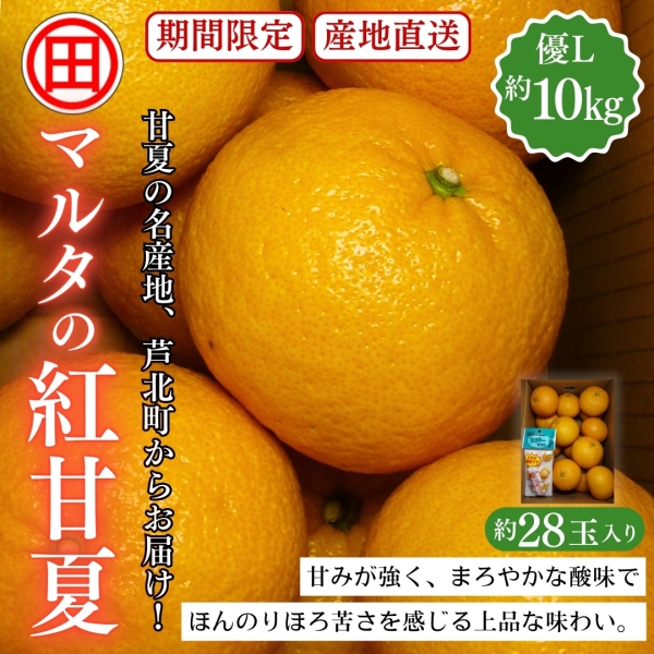 マルタの紅甘夏 優L 約10kg