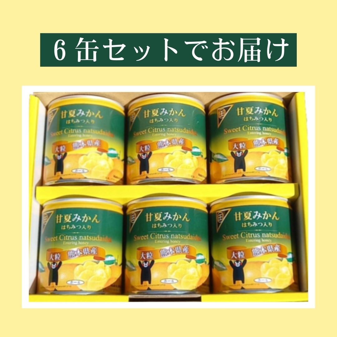 マルタの甘夏缶詰 6缶セット 田の浦柑橘組合