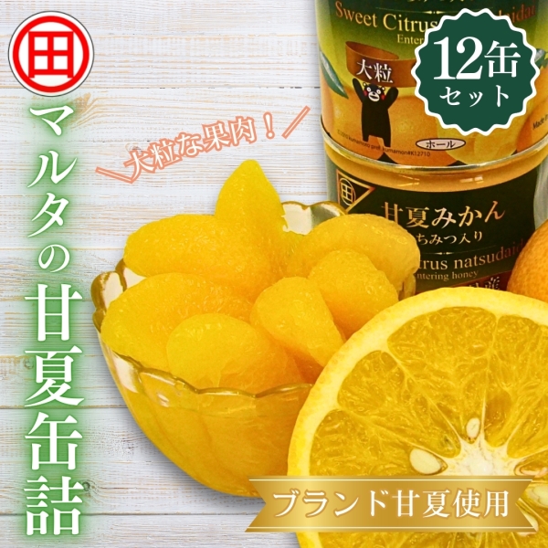 マルタの甘夏缶詰 12缶セット