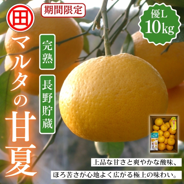 【長野貯蔵】マルタの甘夏 優L 10kg
