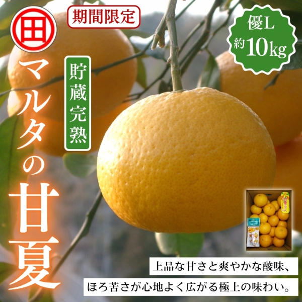 【貯蔵完熟】マルタの甘夏 優L 10kg