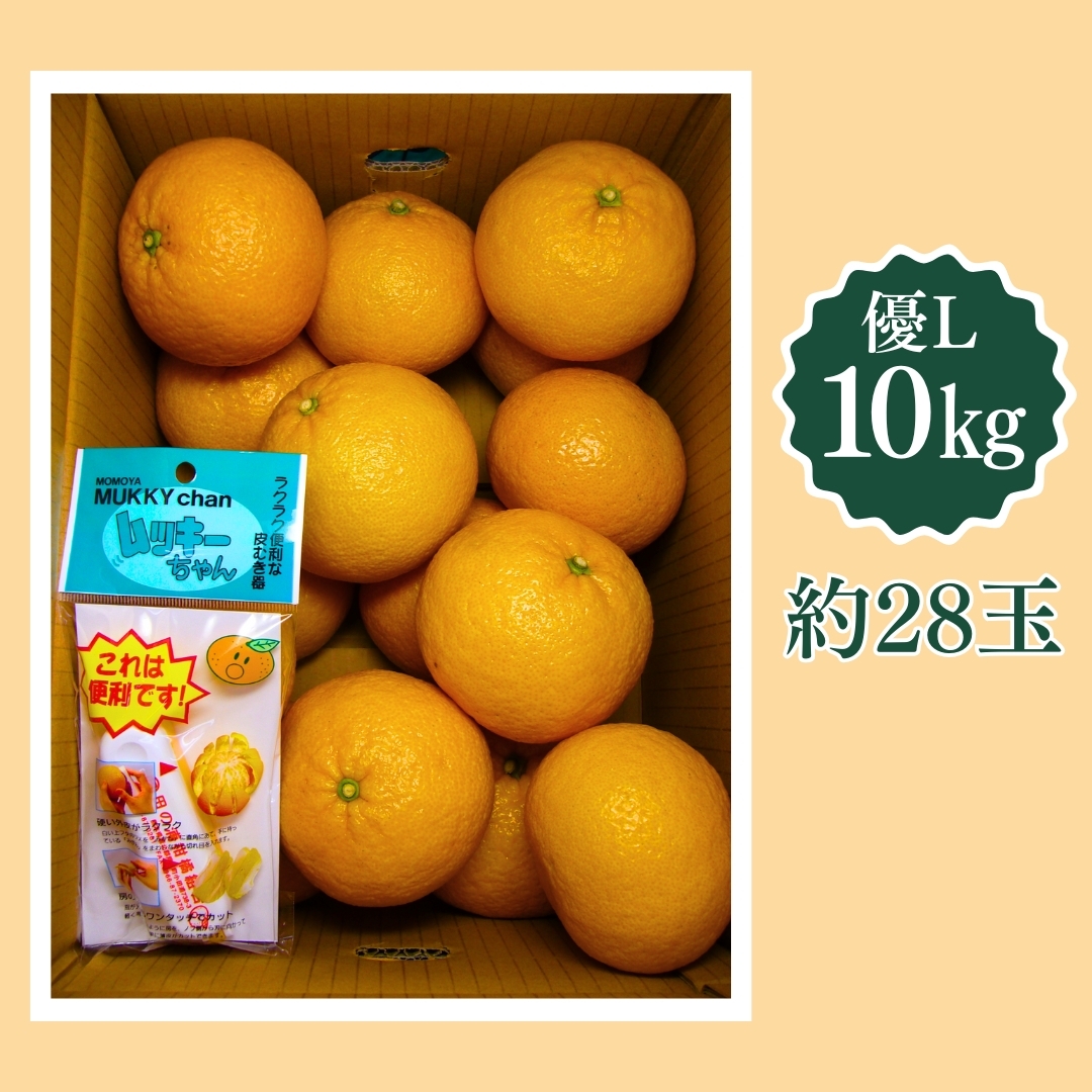 長野貯蔵】マルタの紅甘夏 優L 10kg 田の浦柑橘組合