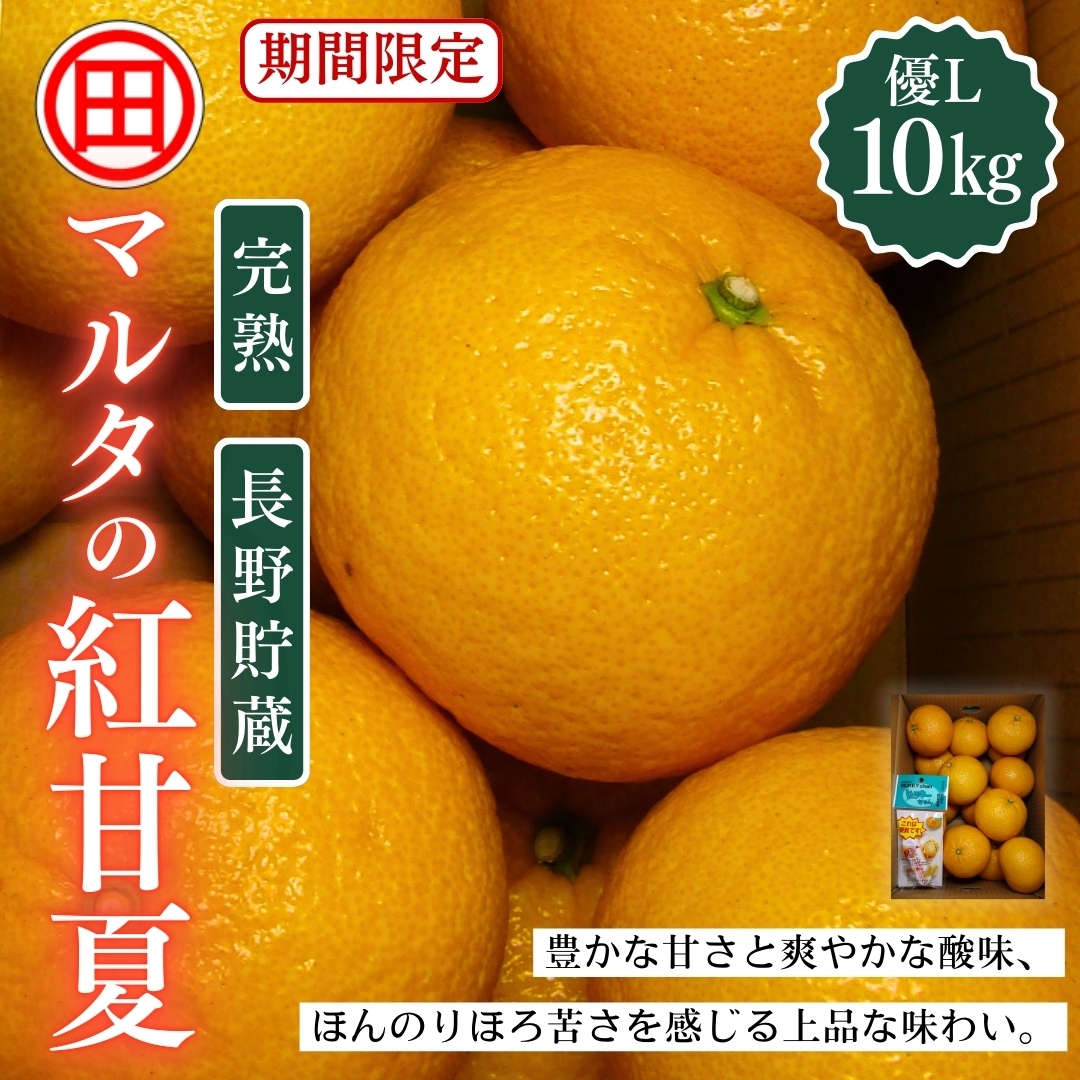 長野貯蔵】マルタの紅甘夏 優L 10kg 田の浦柑橘組合