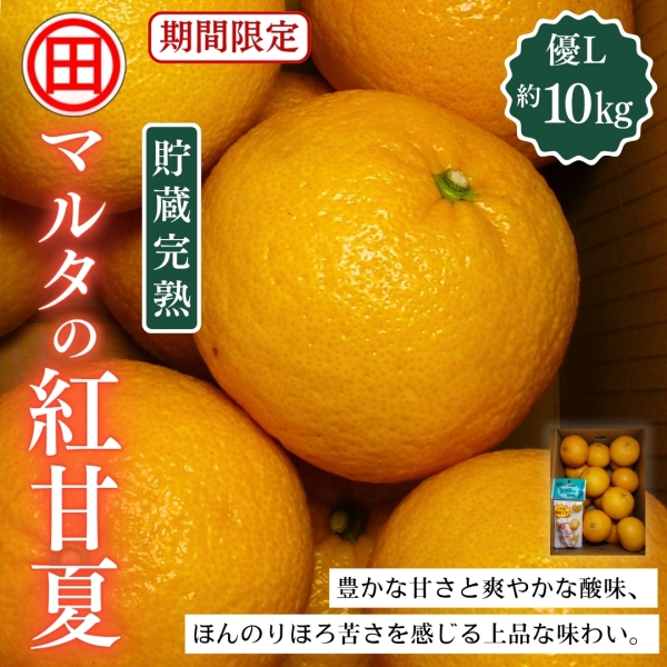 【貯蔵完熟】マルタの紅甘夏 優L 10kg