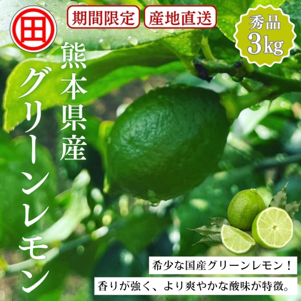 熊本県産グリーンレモン(秀品)3㎏