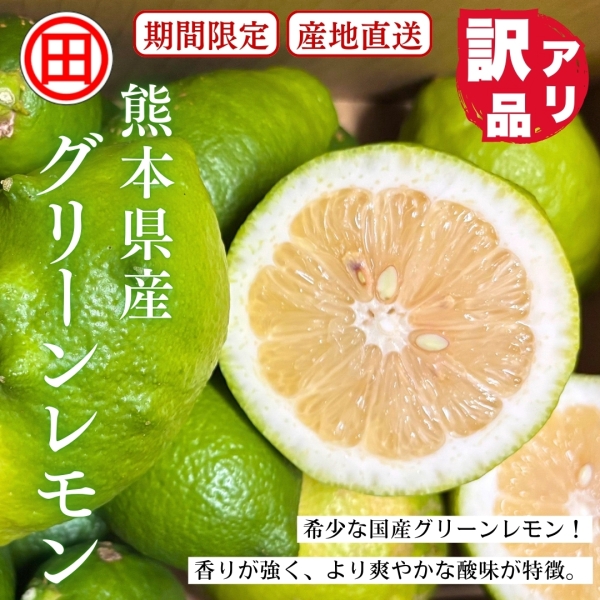 【訳アリ】熊本県産グリーンレモン 3㎏