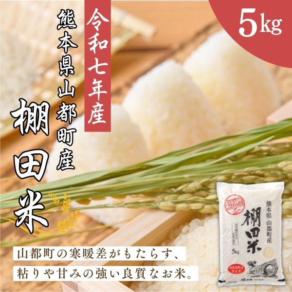 【令和七年産】熊本県山都町産棚田米 5kg