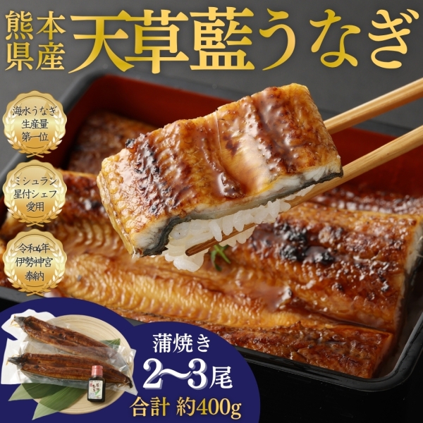 【ミシュランシェフ御用達】天草藍うなぎ蒲焼き（2～3尾／400g）
