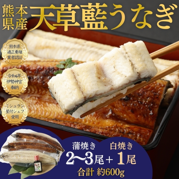 【ミシュランシェフ御用達】天草藍うなぎ紅白セット（3～4尾／600g）