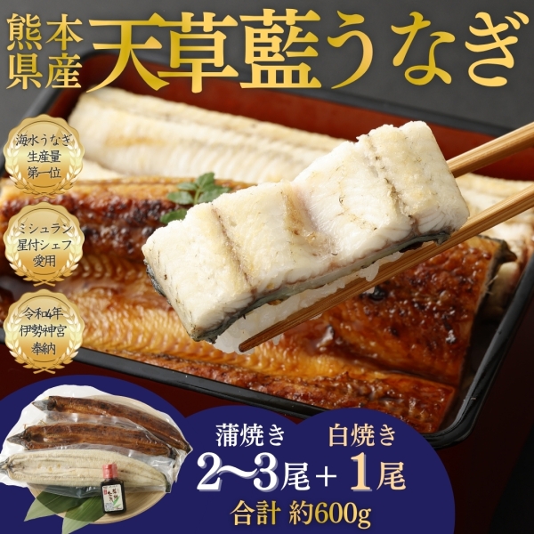 【ミシュランシェフ御用達】天草藍うなぎ紅白セット（3～4尾／600g）