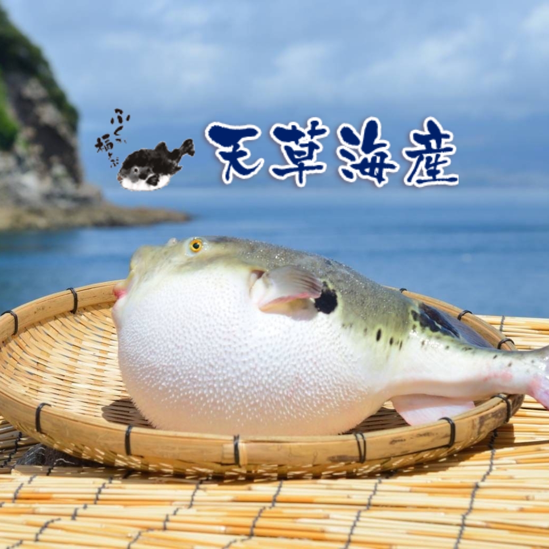 天草海産