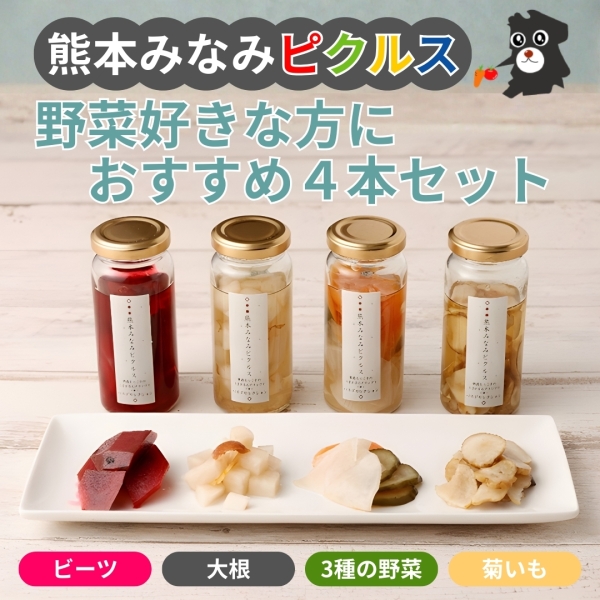 【熊本みなみピクルス】野菜好きな方におすすめ4本セット