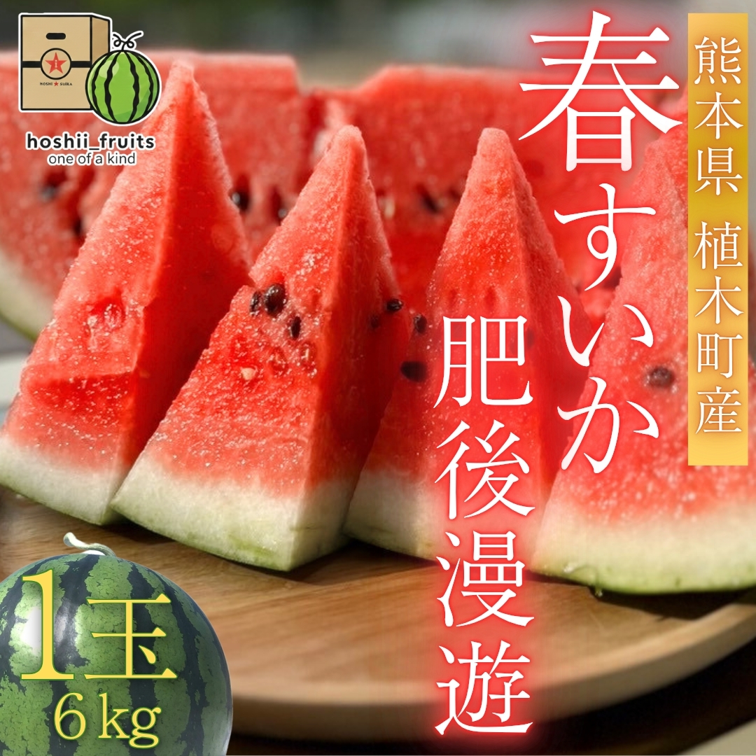 熊本県産 春すいか『肥後漫遊』【1玉】
