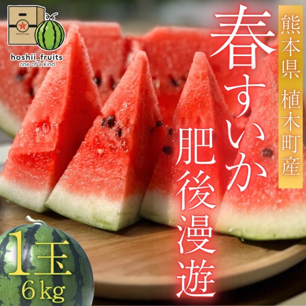 熊本県産 春すいか『肥後漫遊』【1玉】