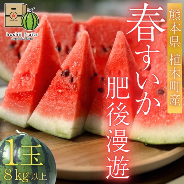 熊本県産 春すいか『肥後漫遊』【1玉】