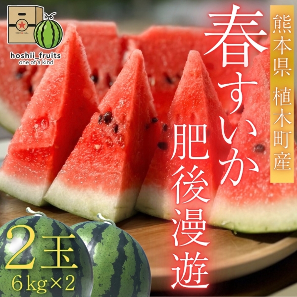 熊本県産 春すいか『肥後漫遊』【2玉】