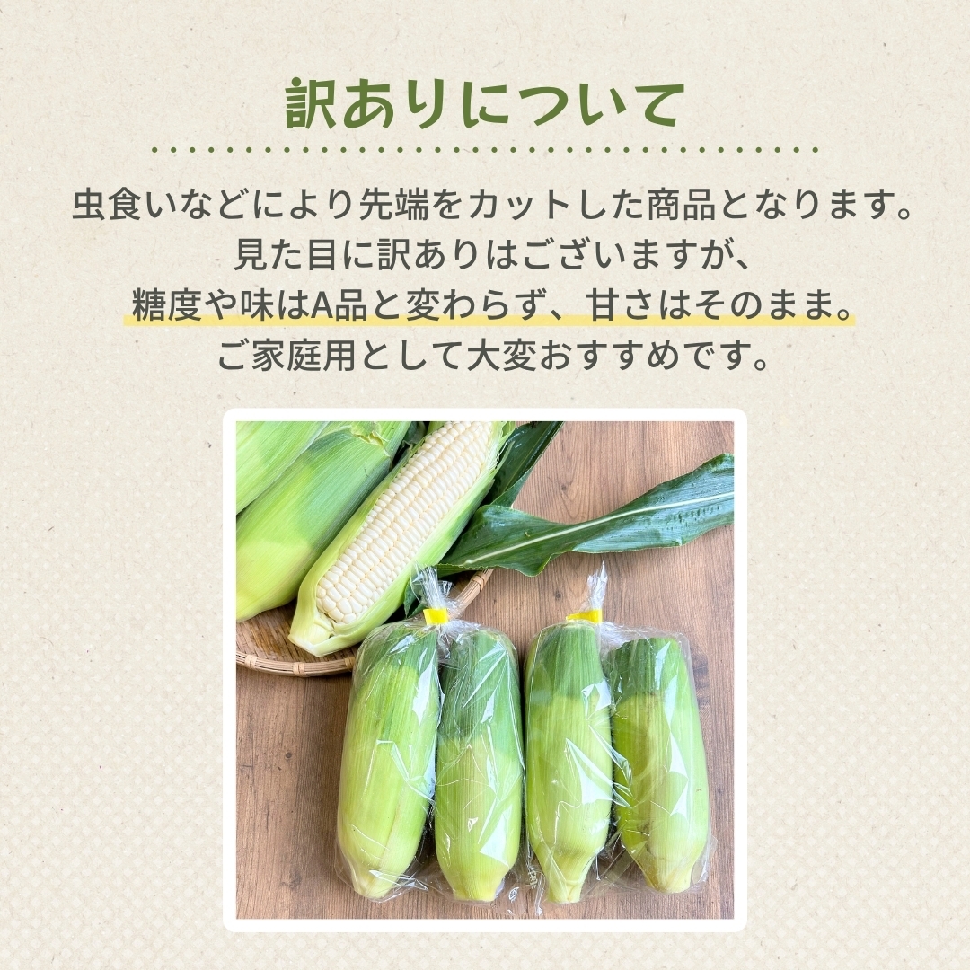 あられやこんコーン 9本or12本入り※雪やこんコーンの訳あり商品 うとさんち