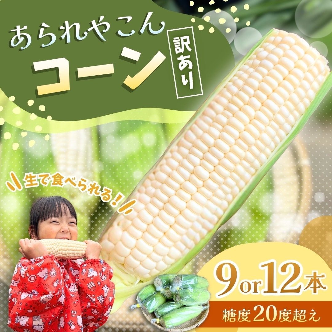 あられやこんコーン 9本or12本入り※雪やこんコーンの訳あり商品 うとさんち