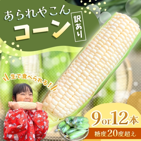 あられやこんコーン 9本or12本入り※雪やこんコーンの訳あり商品