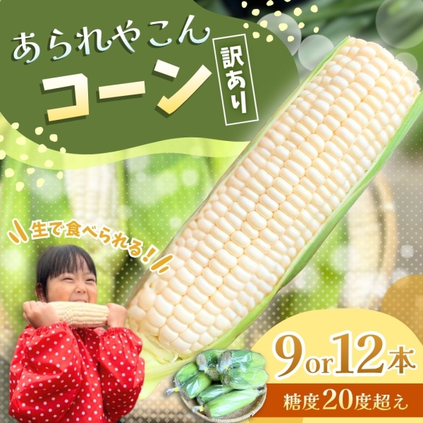 あられやこんコーン 9本or12本入り※雪やこんコーンの訳あり商品