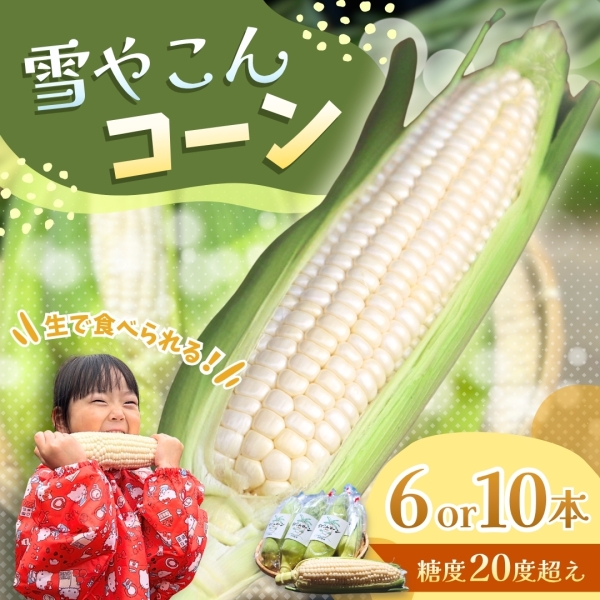 雪やこんコーン(6本or10本入り)