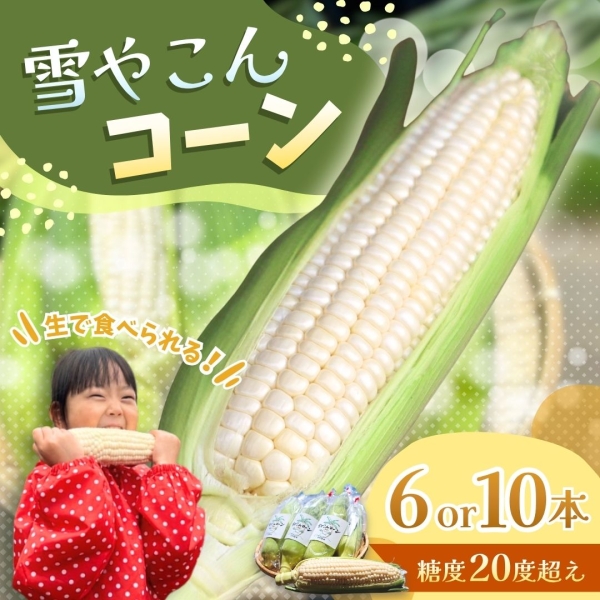 雪やこんコーン(6本or10本入り)