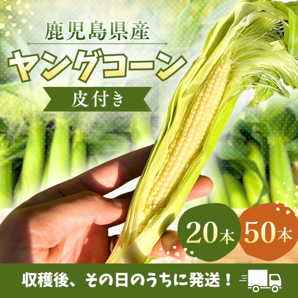 皮付きヤングコーン（20本or50本入り）