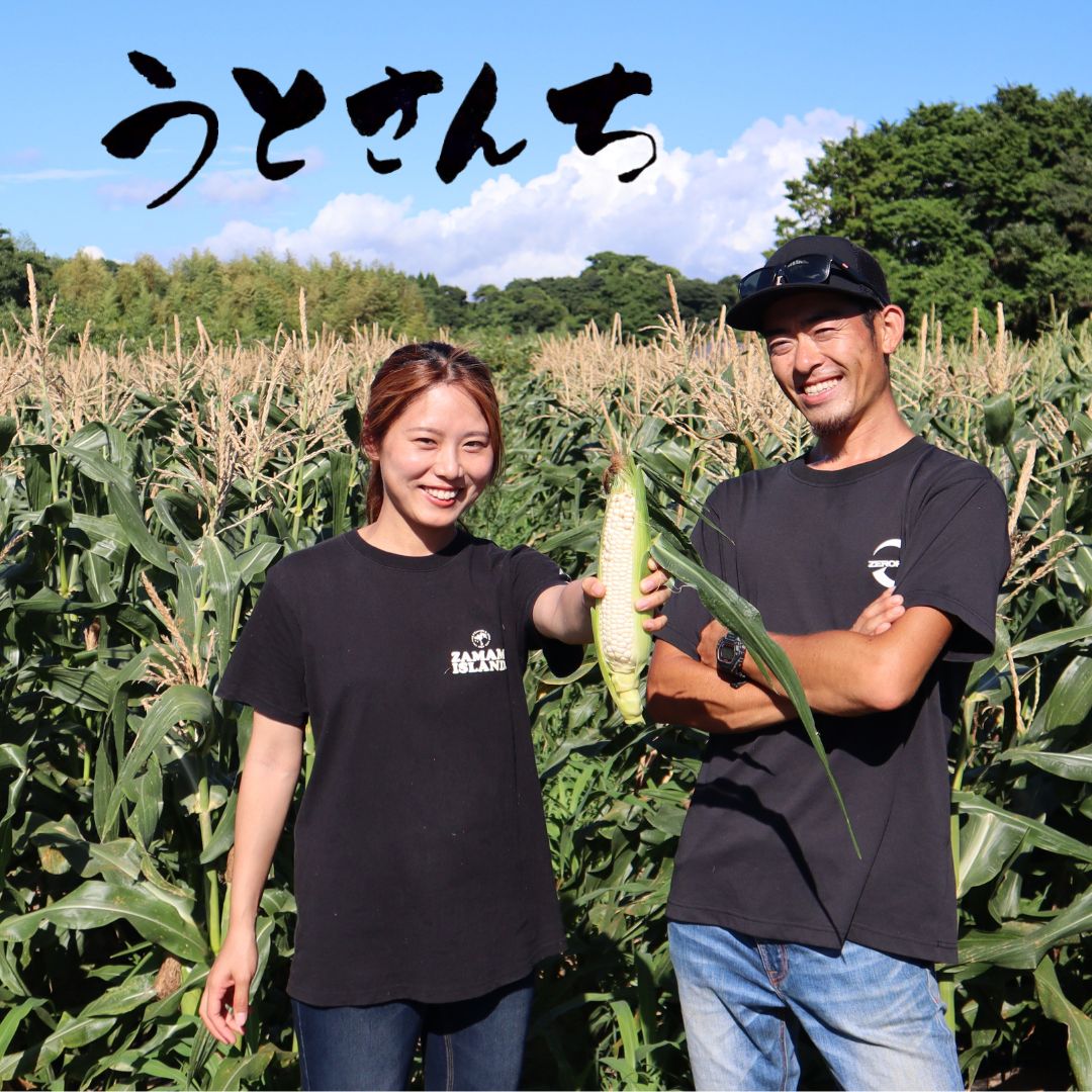 うとさんち