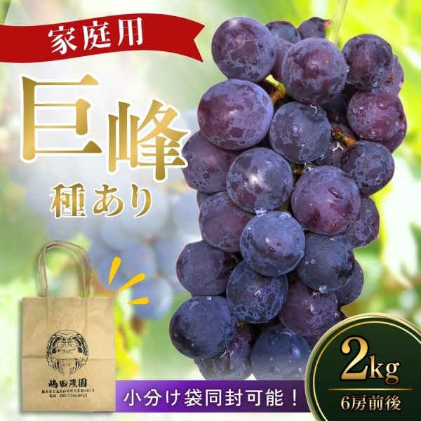 【家庭用】熊本県産巨峰（種有り）2kg■