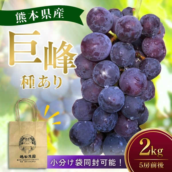 熊本県産巨峰（種有り）2kg■