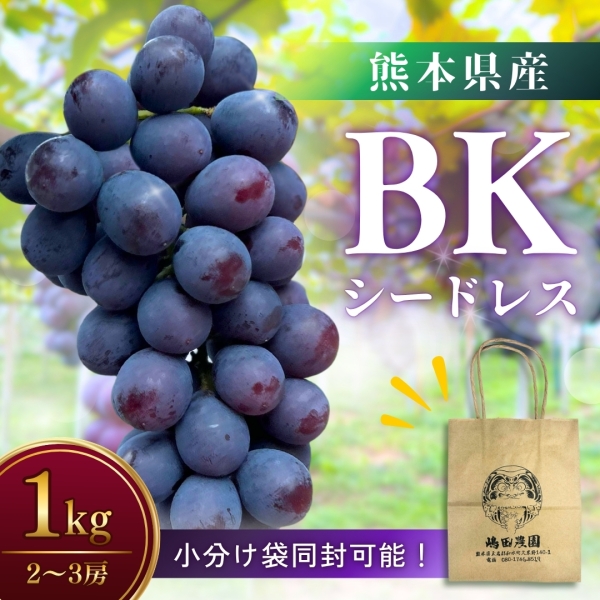 熊本県産BKシードレス 1kg■