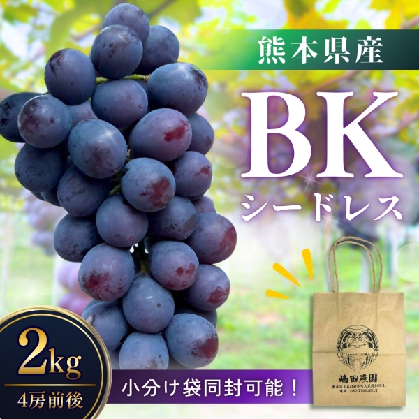 熊本県産BKシードレス 2kg■