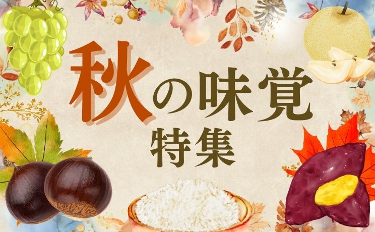秋の味覚特集