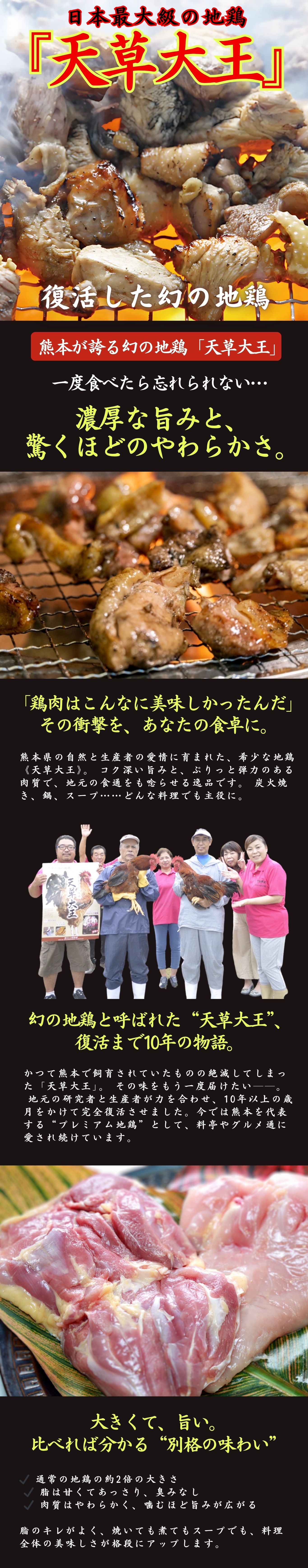 【熊本県産】天草大王特集