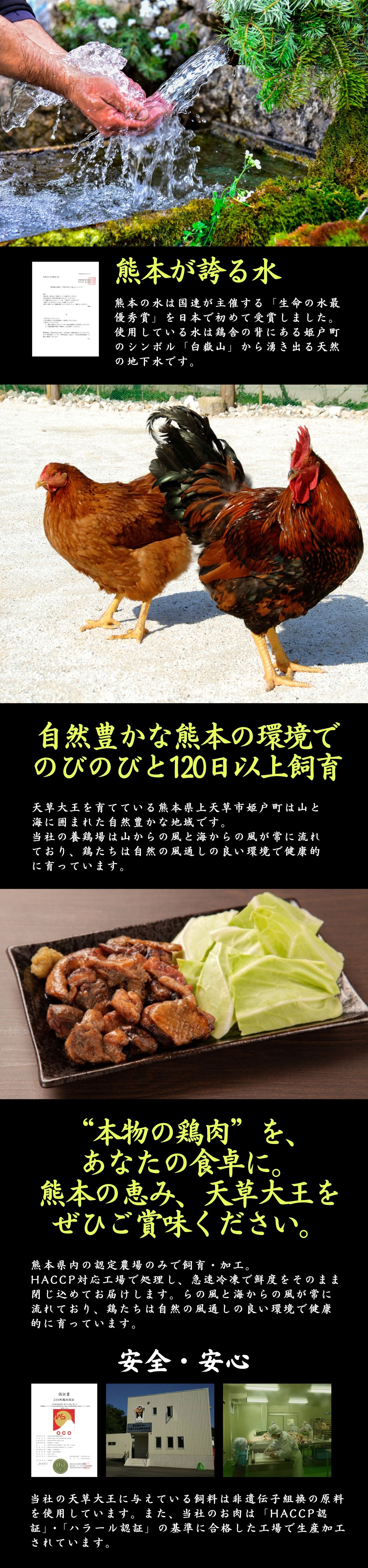 【熊本県産】天草大王特集