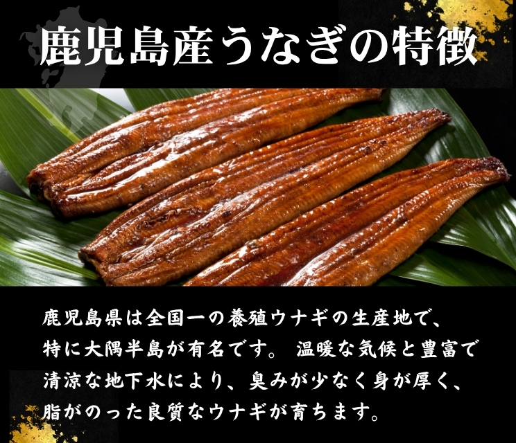 土用丑の日特集