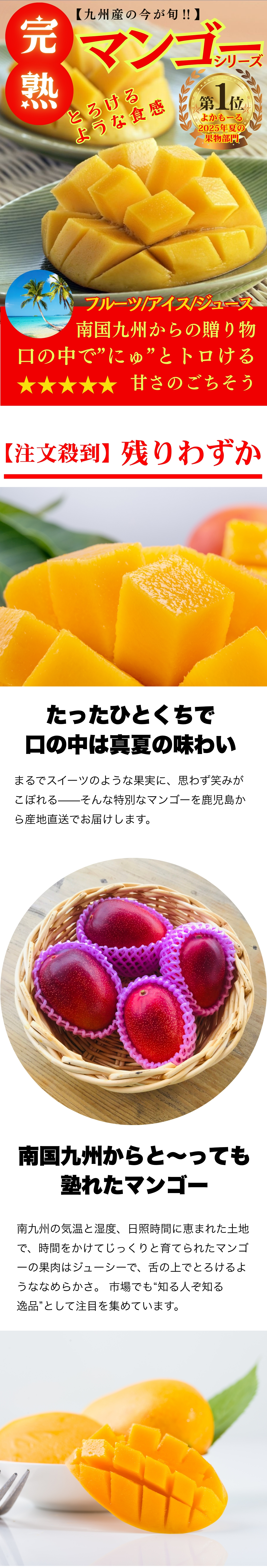マンゴー特集