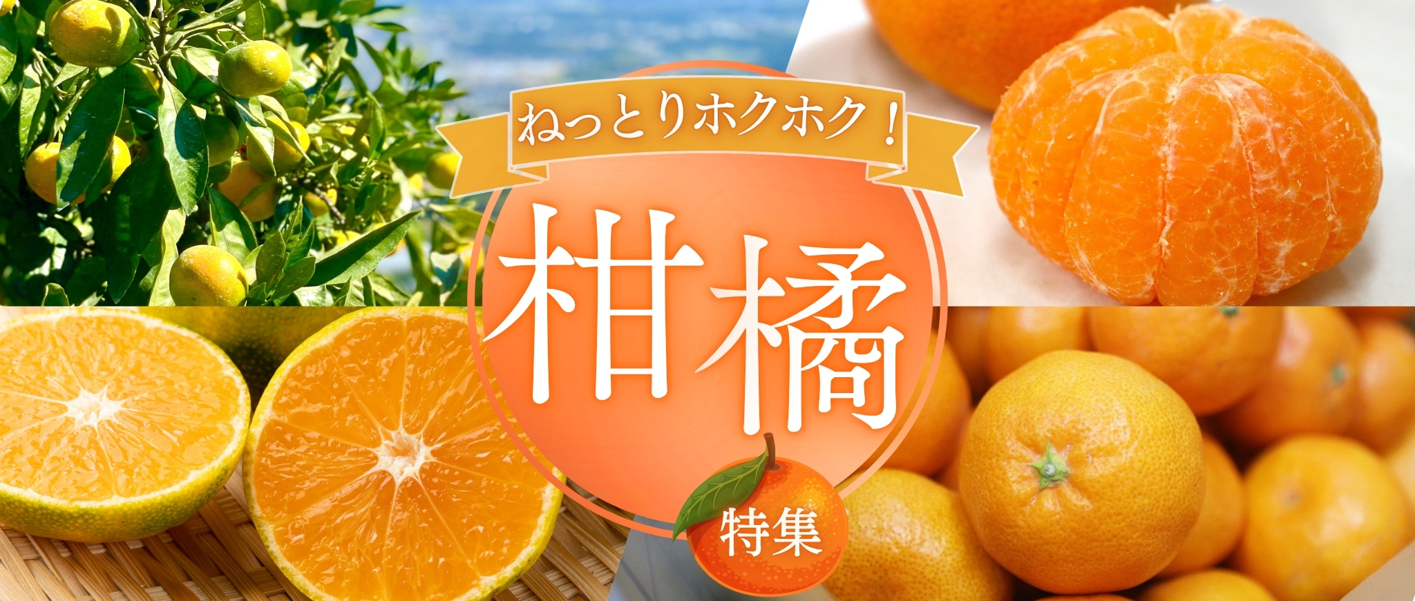 熊本・宮崎・鹿児島