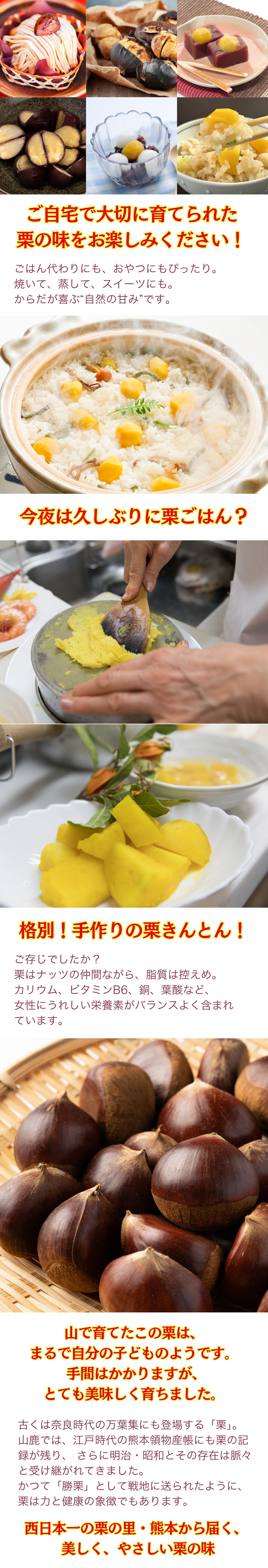栗の特集