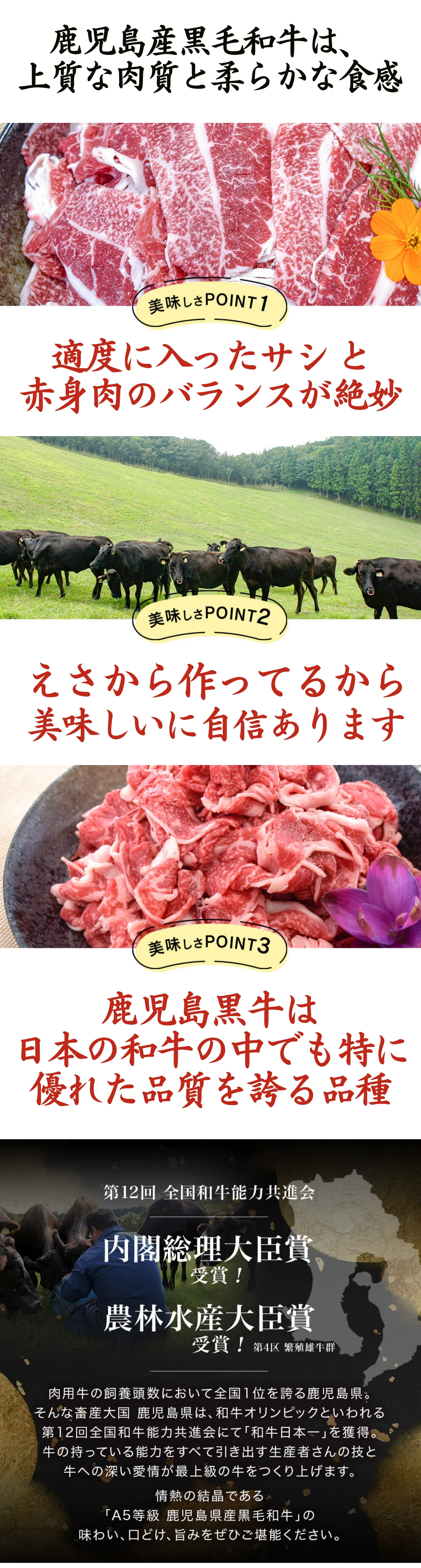 鹿児島県黒毛和牛シリーズ