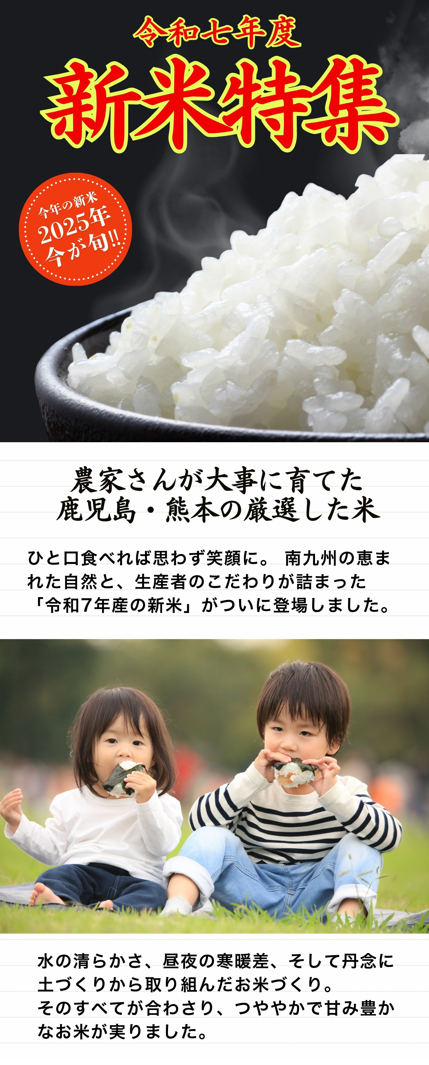 【旬の商品】新米の特集