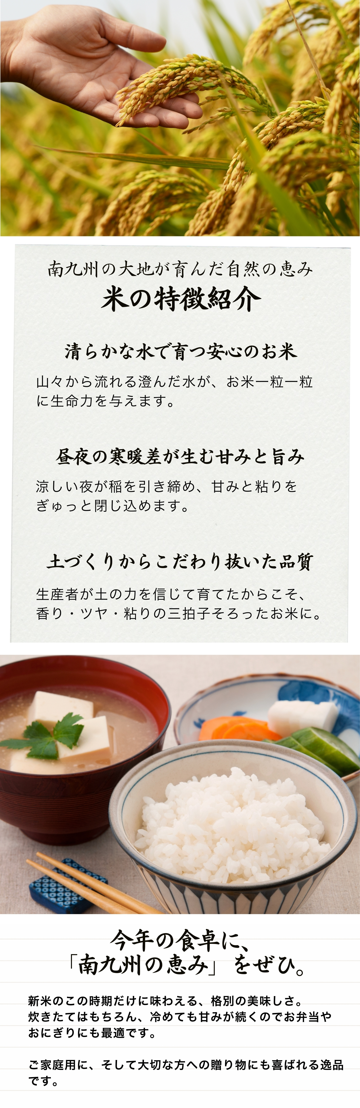 【旬の商品】新米の特集