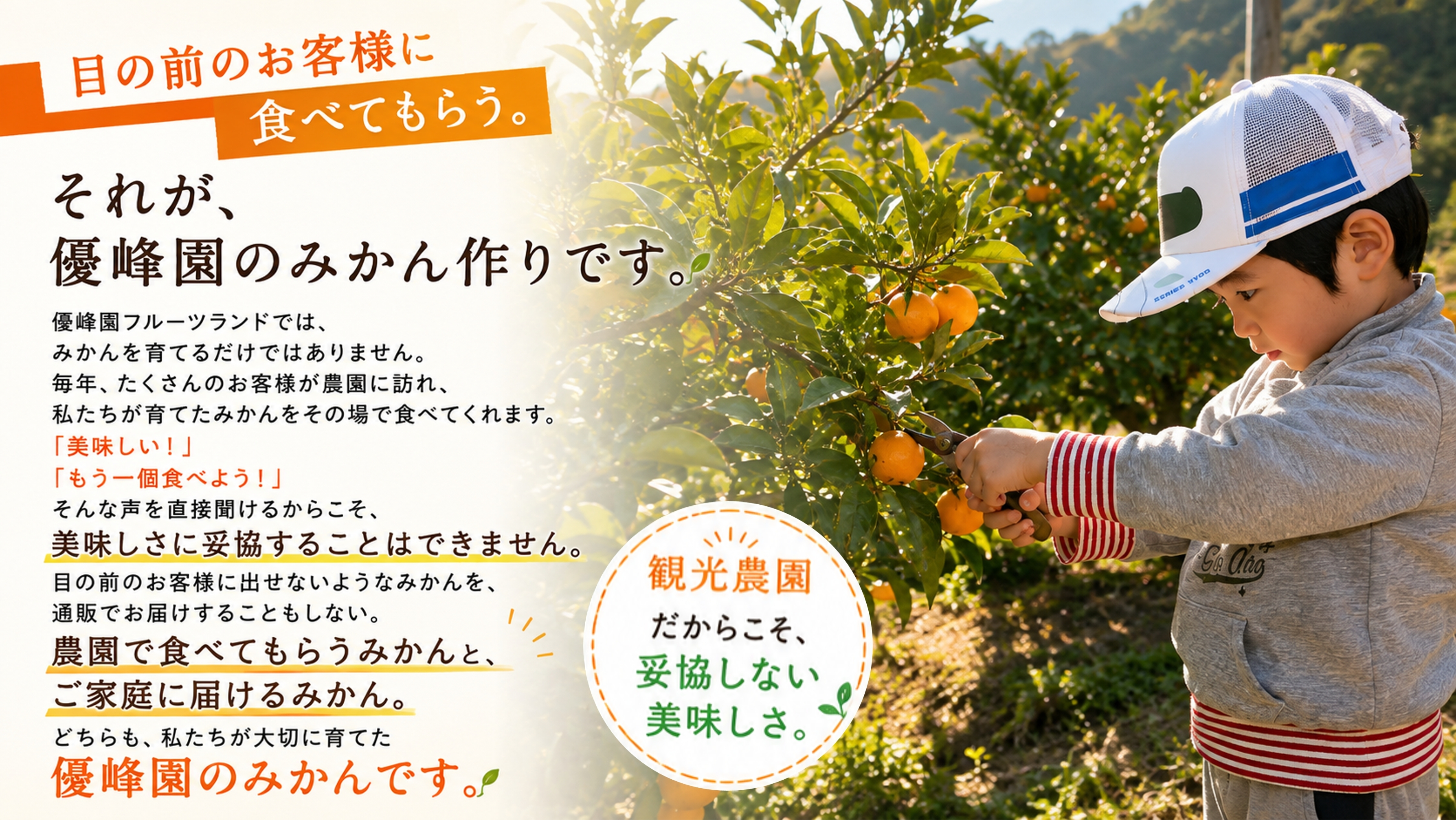 熊本県産＜極早生＞河内みかん3kg/5kg 優峰園フルーツランド