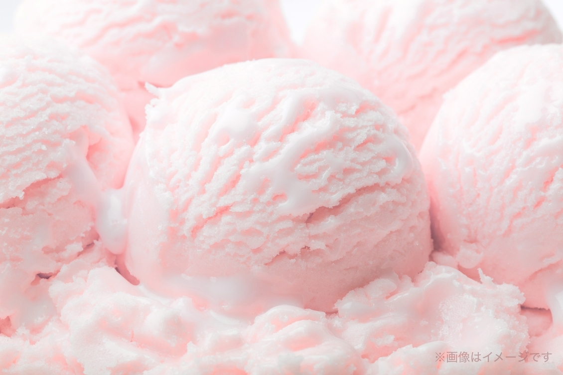 球磨中央高校の高校生