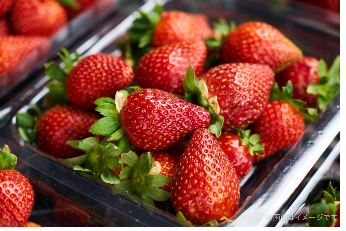 マッコリアイス