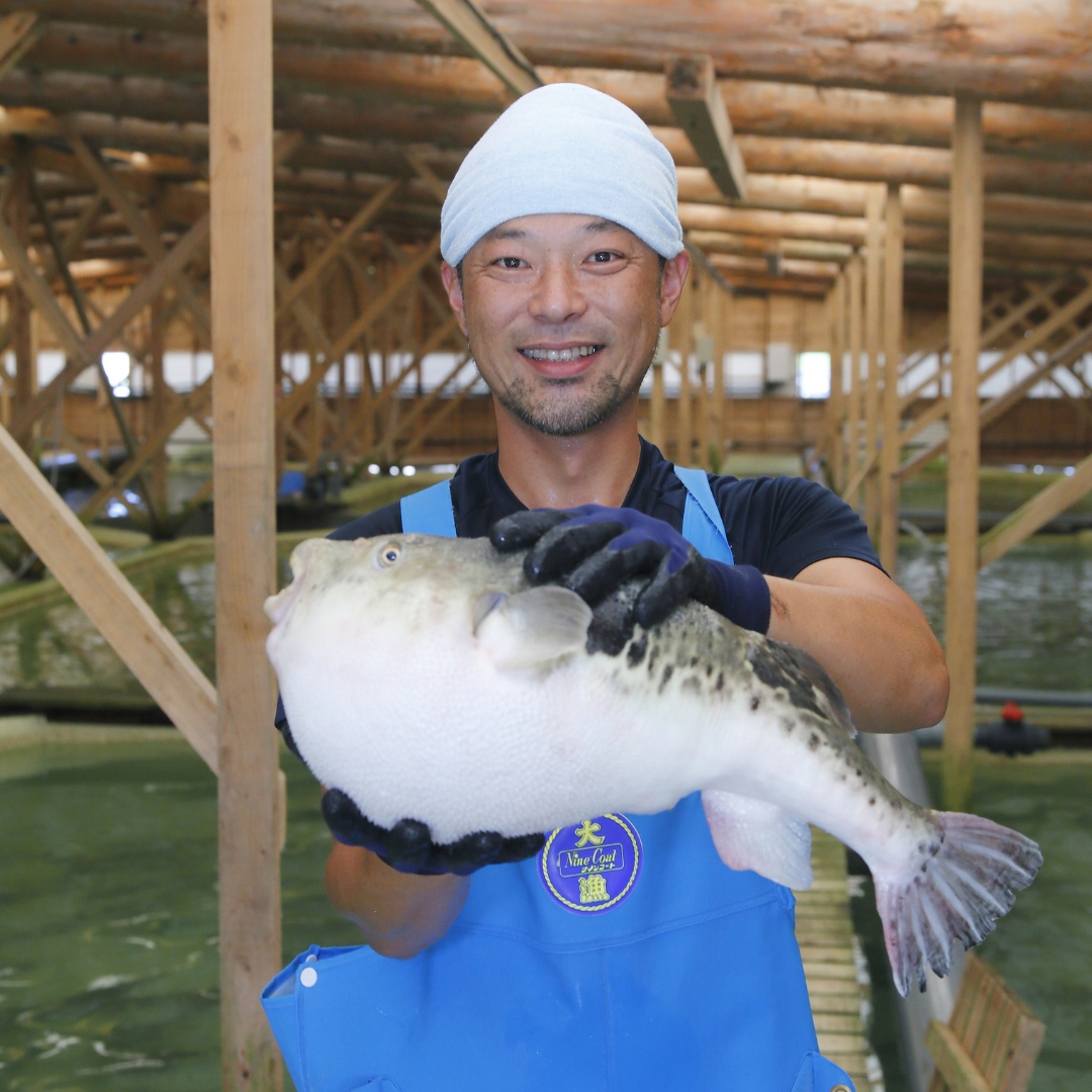 天草とらふぐ てっさ・てっちり 贅沢セット（3人～4人前） 天草海産