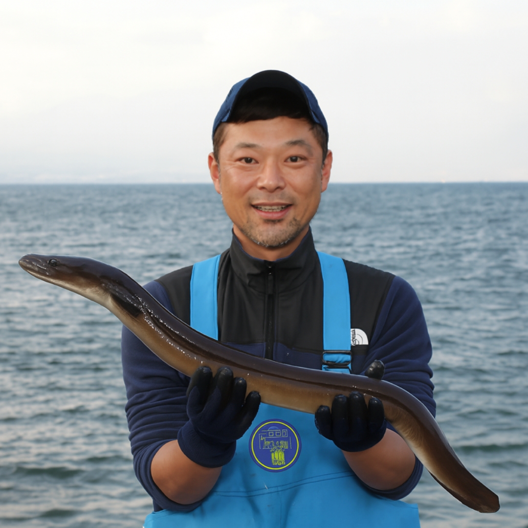 天草藍うなぎ蒲焼き（2～3尾／400g） 天草海産